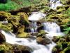 Lower Proxy Falls, Three Sisters Wilderness, Wil